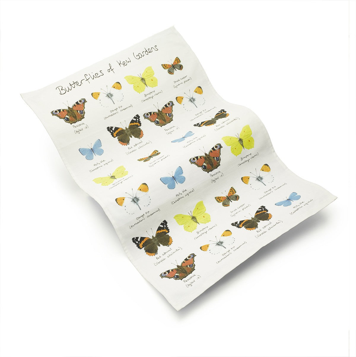 Butterflies Of Kew Gardens Tea Towel The Kew Online Shop