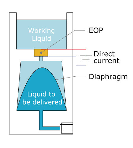 IBP Series Internal Structure