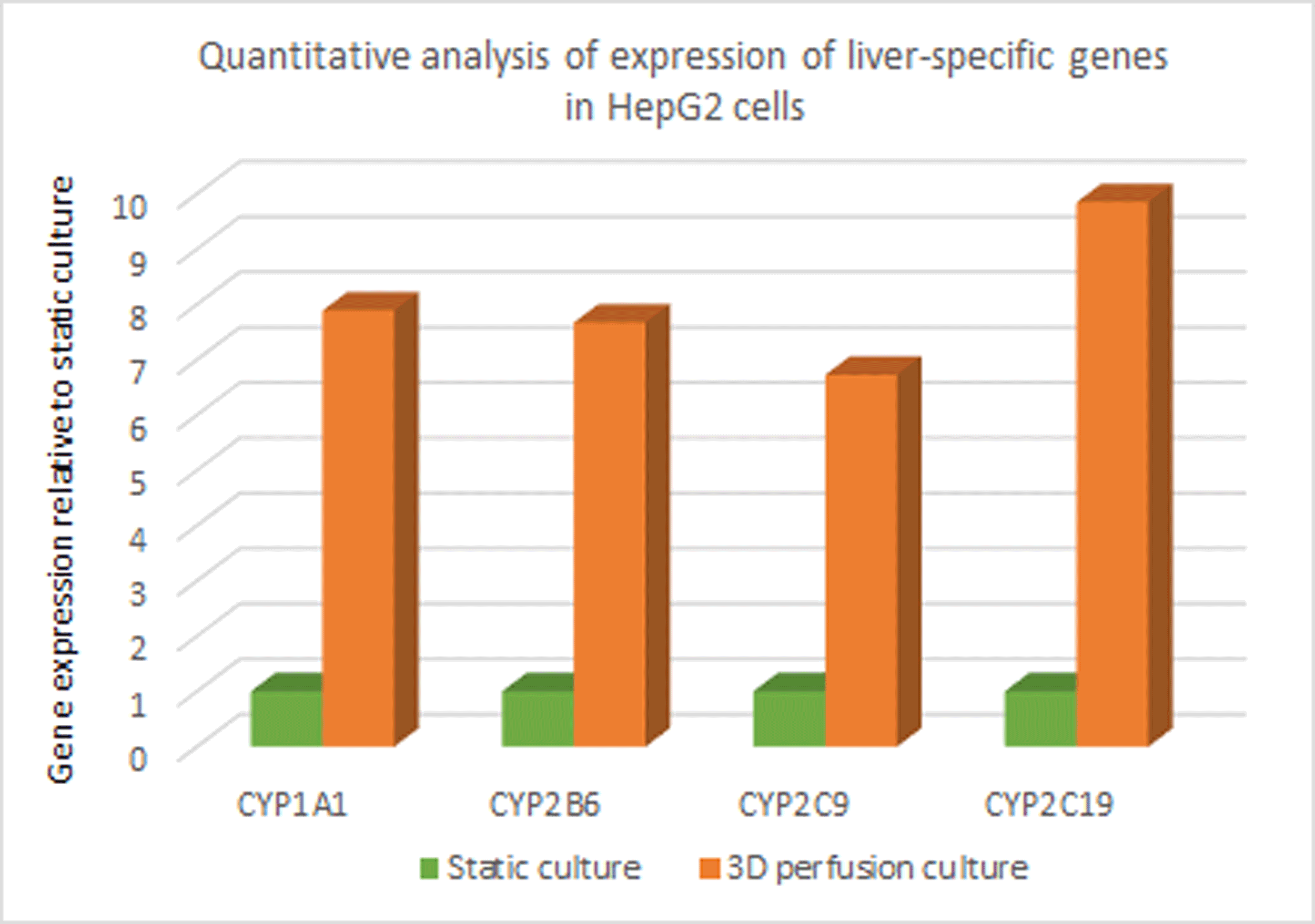 Micro 3D Perfusion System Culture Result Image 1