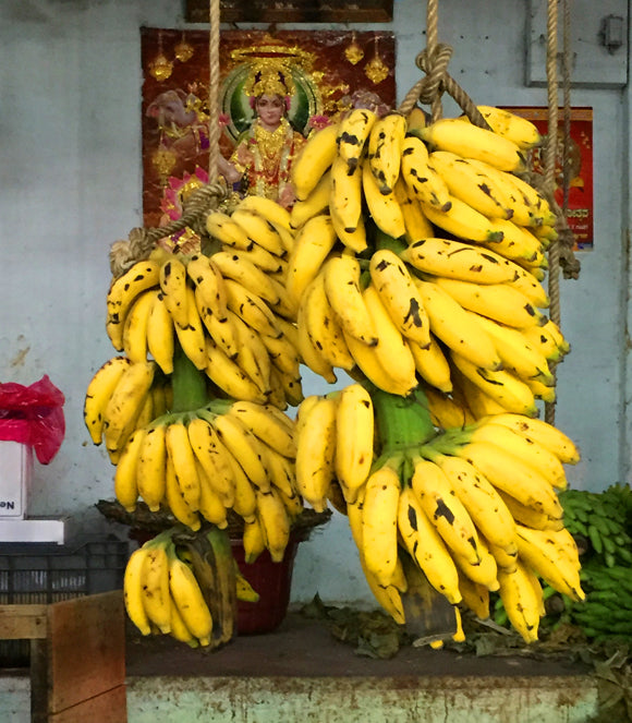 yellow bananas