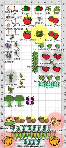 companion planting