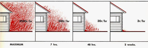 how long after nuclear bomb