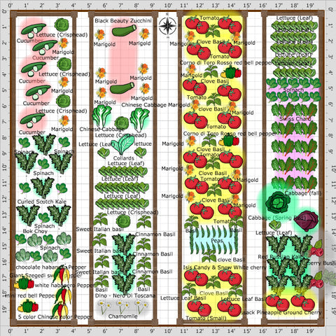 intercropping companion planting