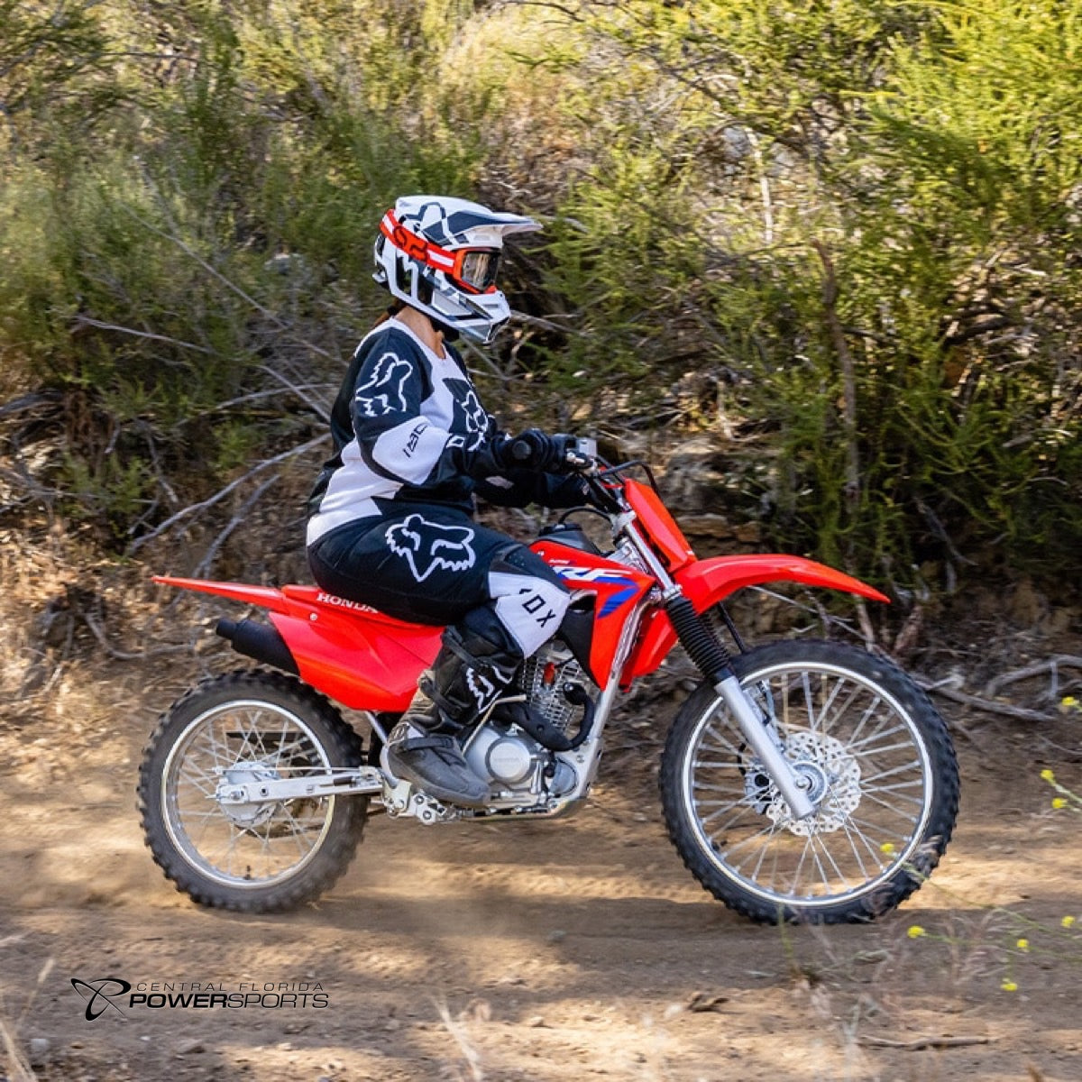 2023 Honda Crf125f Big Wheel Central Florida Powersports 2429