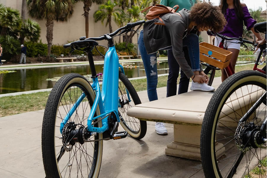 giant transend bike