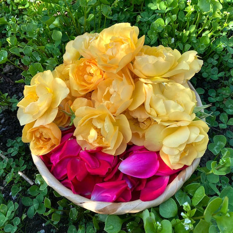 Rose Basket - Im Not Here For Perfect Skin Blog - Mae Botanicals