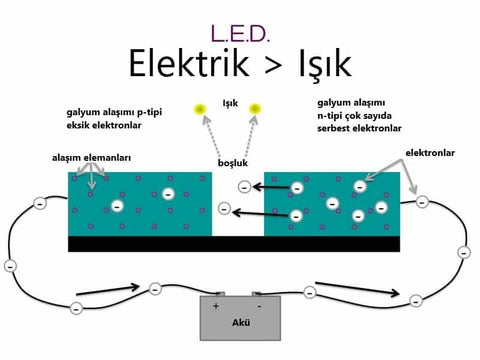 Bitki Yetistirme Lambasi Almadan Once Bilmeniz Gereken 6 Temel Madde Evdebitkicom En Ekonomik Grow Shop