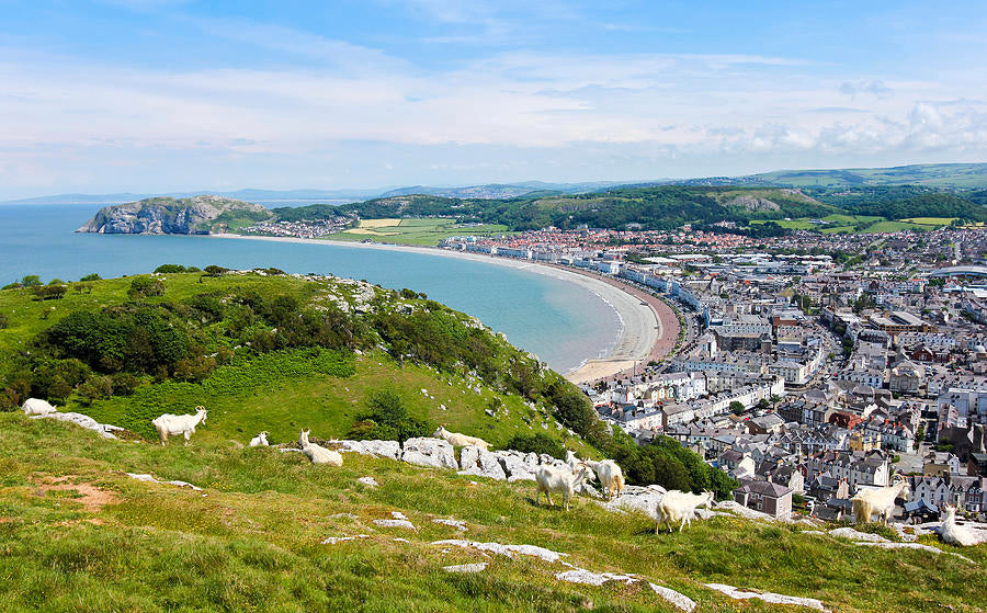 The Great Orme