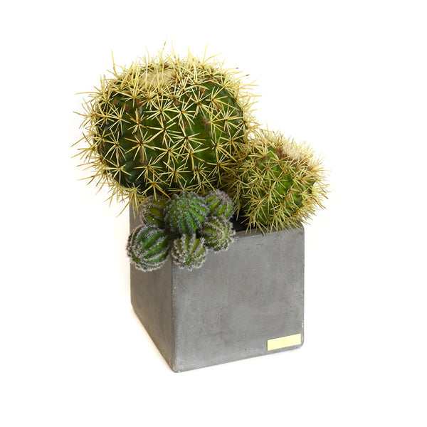 Nearly Natural 4845 Decorative Cactus Garden With Cement Planter 