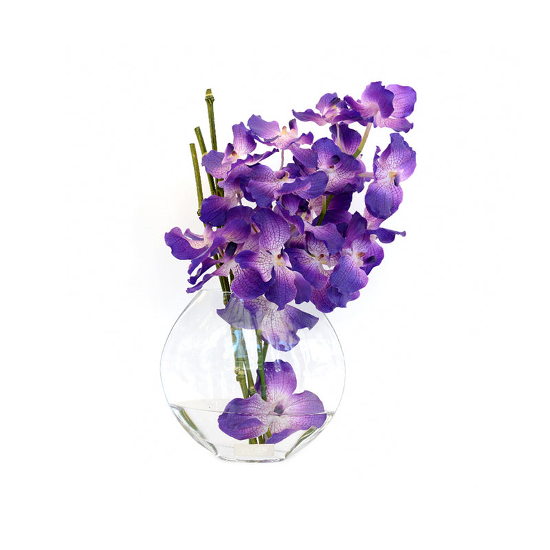 Purple Vanda in 10