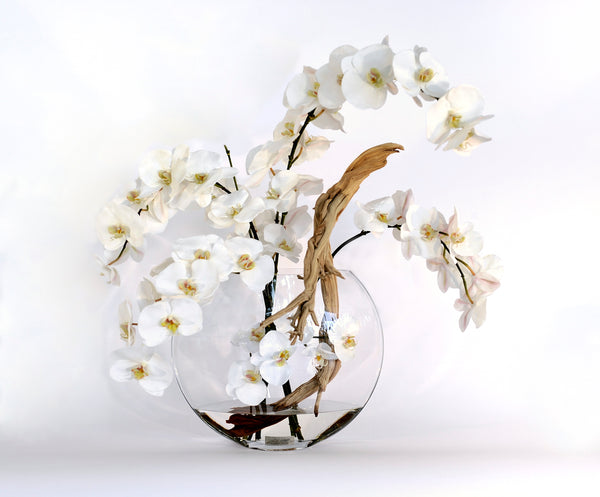 Champagne Magnolia 6.5 Moon Vase – Emilio Robba