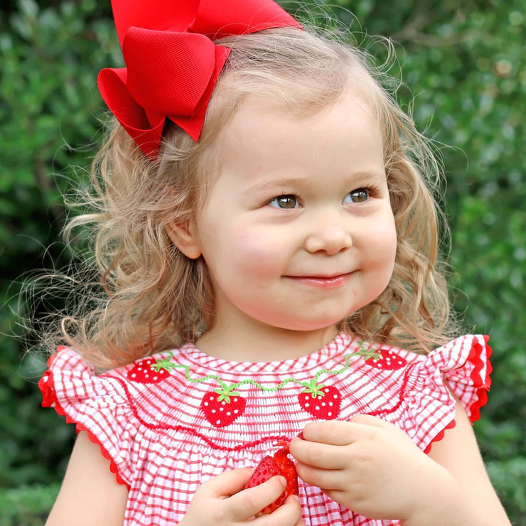 Strawberry Smocked Bubble Red Seersucker – Smocked Auctions