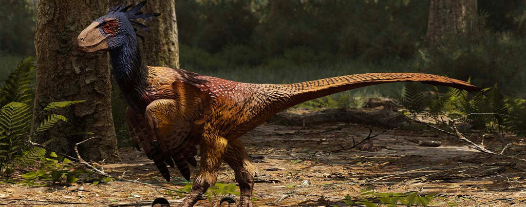 velociraptors could reach high speed