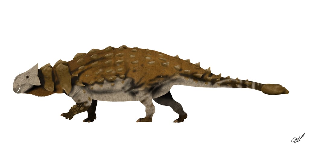 Ankylosaurus vs T-rex