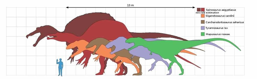 largest carnivorous dinosaur ever