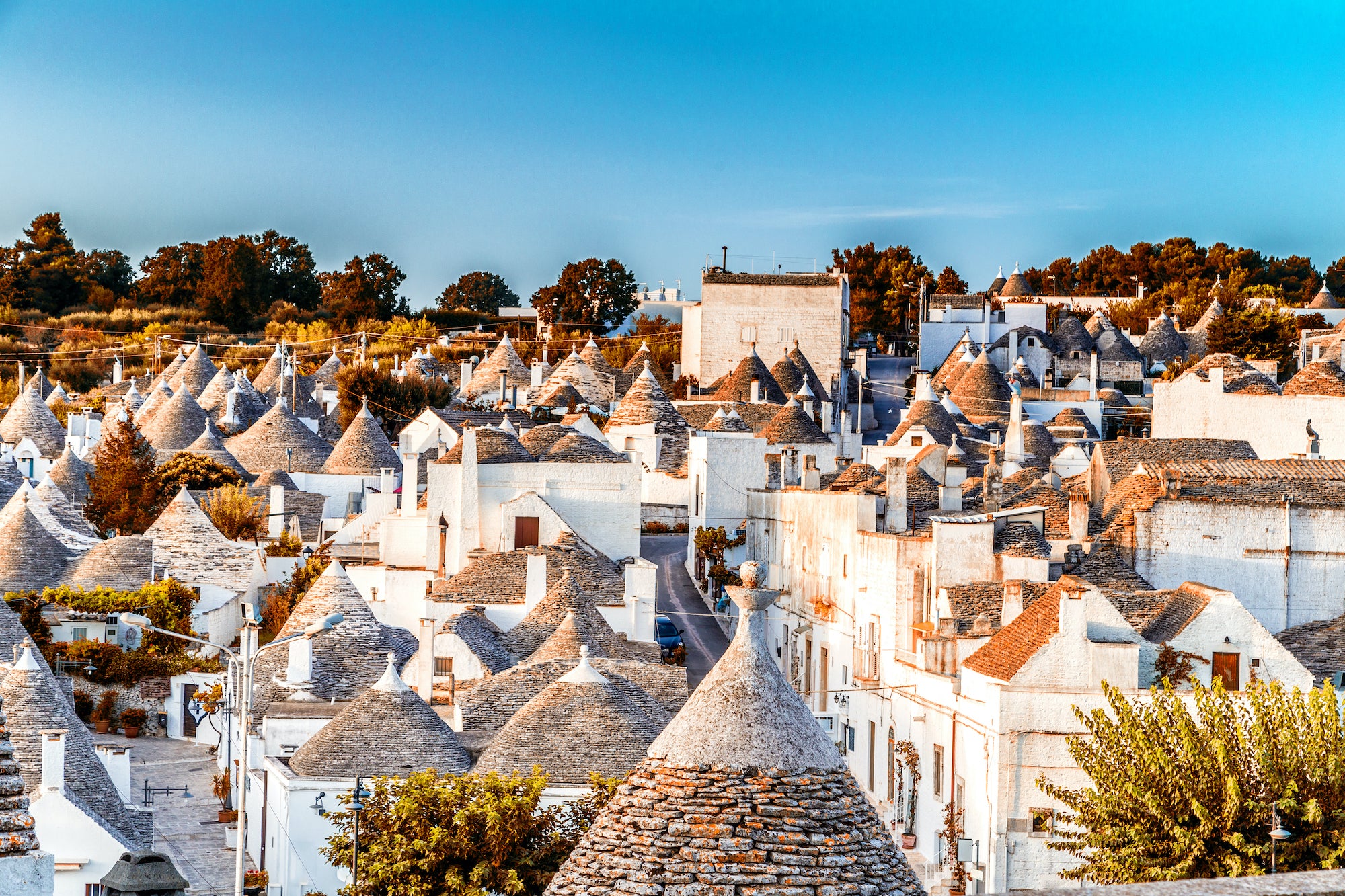 Puglia- Città di Alberobello e i suoi “trulli”(Alberobello town with its typical “trulli”)