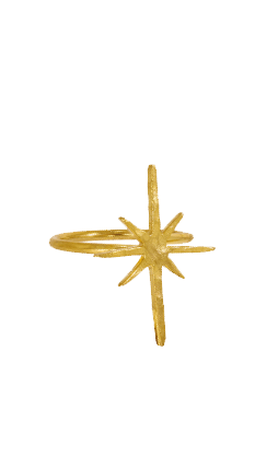 Gold Star Adjustable Ring