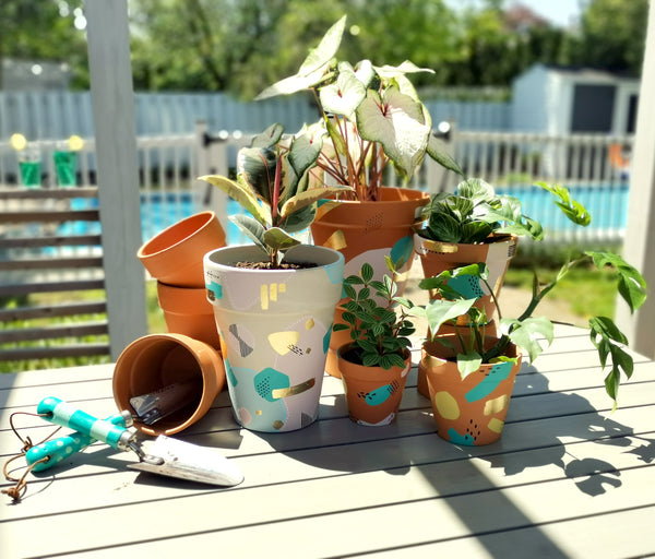 3 idées déco pour peindre ses pots en terre cuite - Jardiland