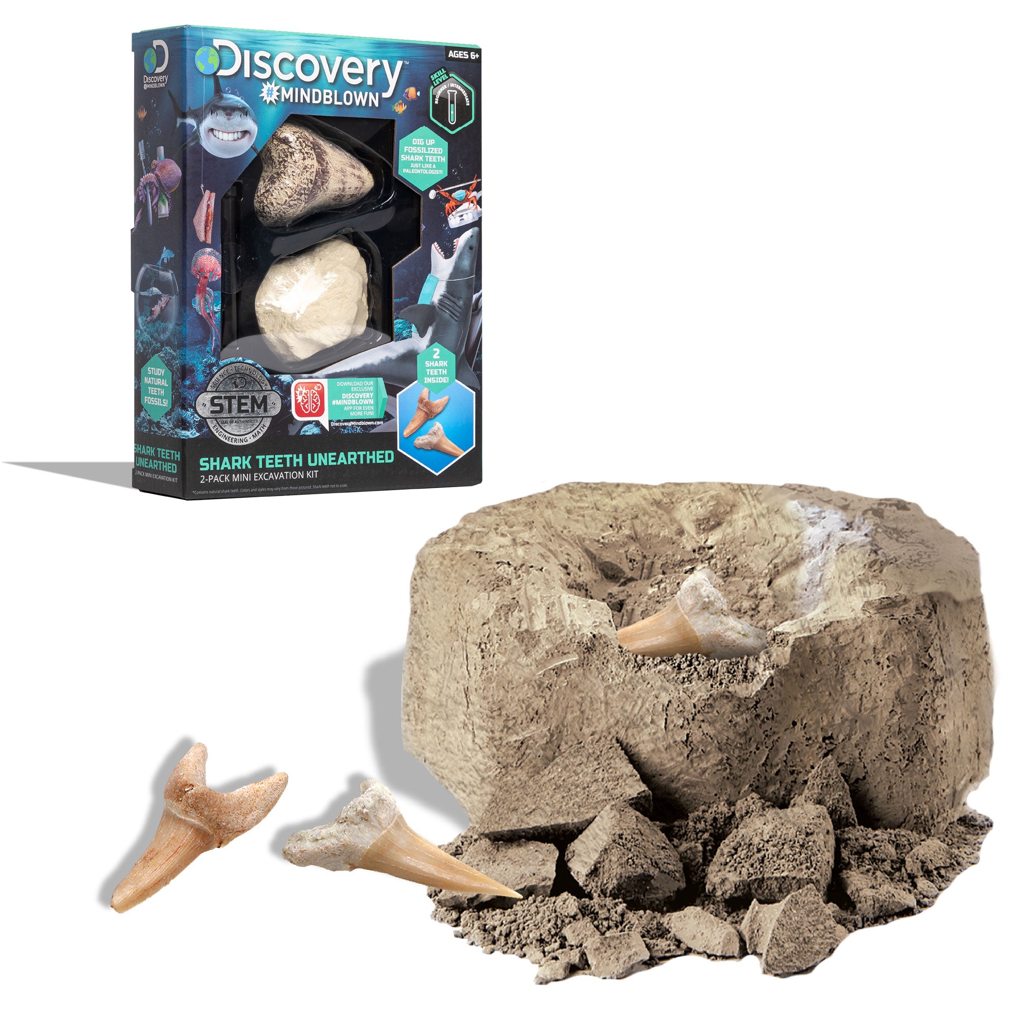 Sillbird Kit d'excavation de minéraux pour enfants à partir de 7
