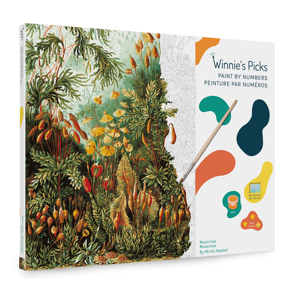 Kit peinture par numéro - couleurs psychédéliques