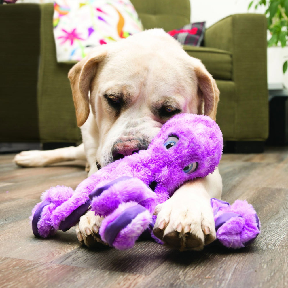 kong crab dog toy