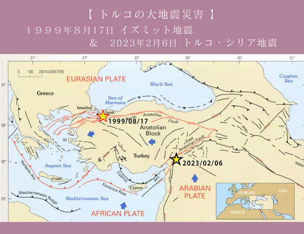 トルコ震災マップ