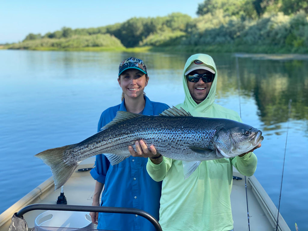 Northern California Fly Fishing Report Lower Yuba River Lost Coast Outfitters