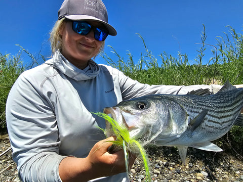 Northern California Fly Fishing Report – Fall River – Lost Coast  Outfitters