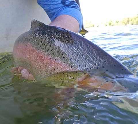 Northern California Trout Fishing