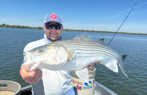 Delta Striper Fishing