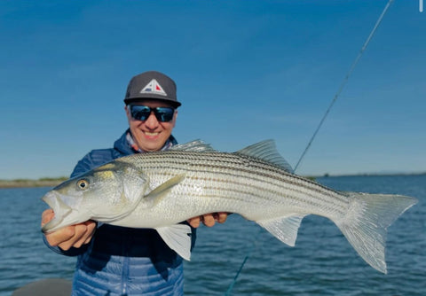 Delta Striper Fishing