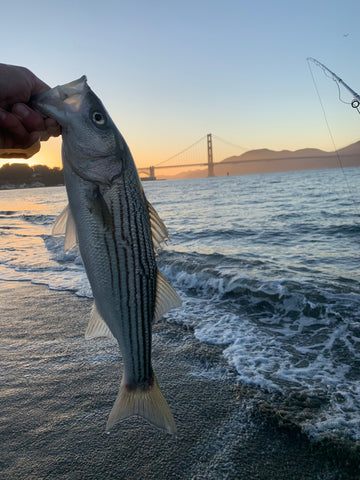 Surf Fly Fishing Outfit – Lost Coast Outfitters