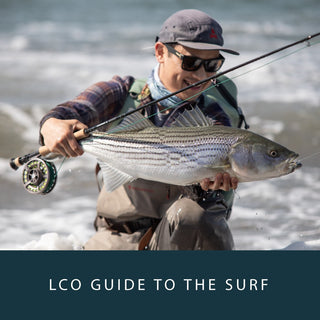 Northern California Fly Fishing Report – American River – Lost Coast  Outfitters