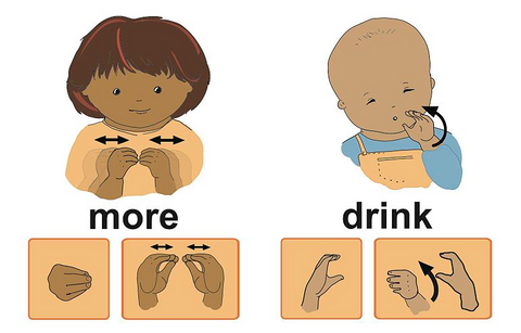 sign language for more, bringing cupped hands together, and sign language for drink, bringing cupped hand to chin