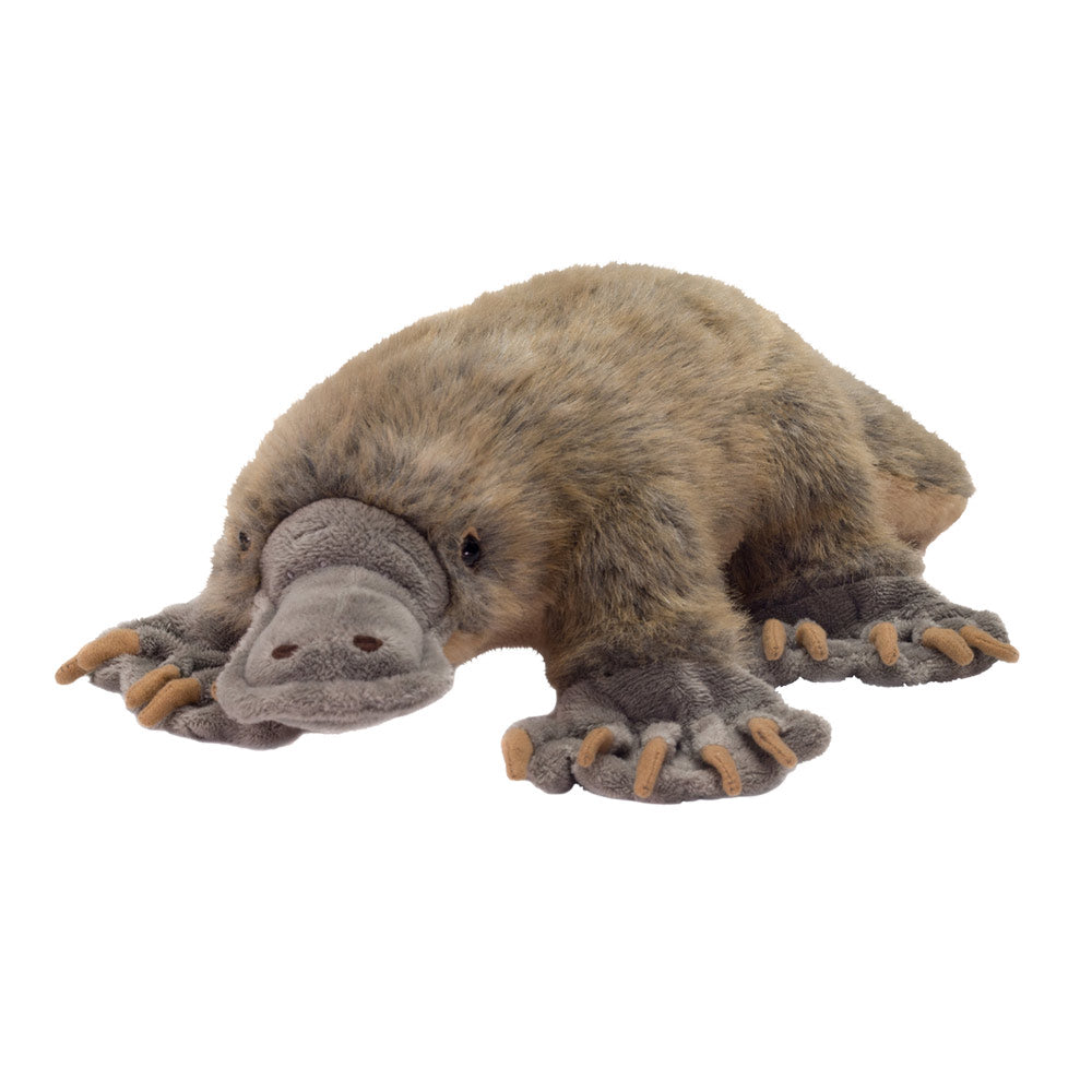 platypus toy