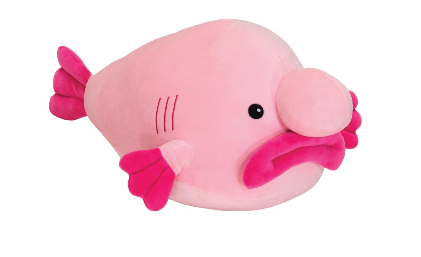 blobfish cuddly toy