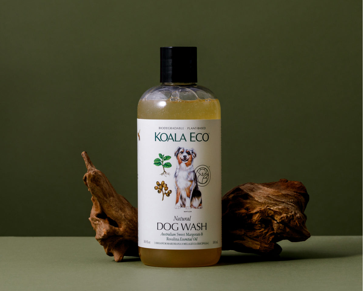 Promo image from Koala Eco
