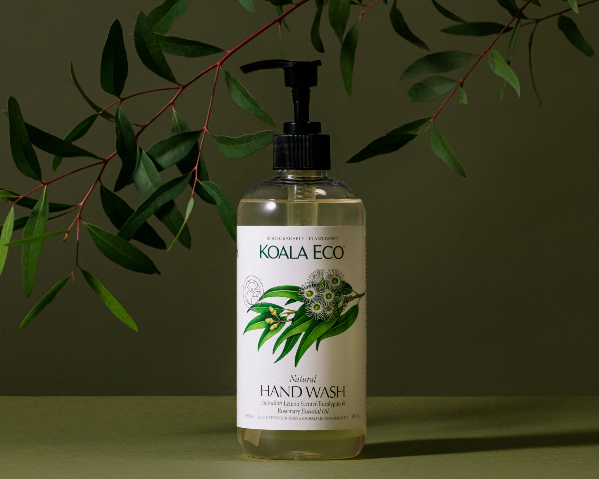 Promo image from Koala Eco
