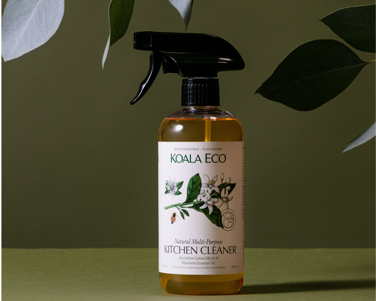 Promo image from Koala Eco
