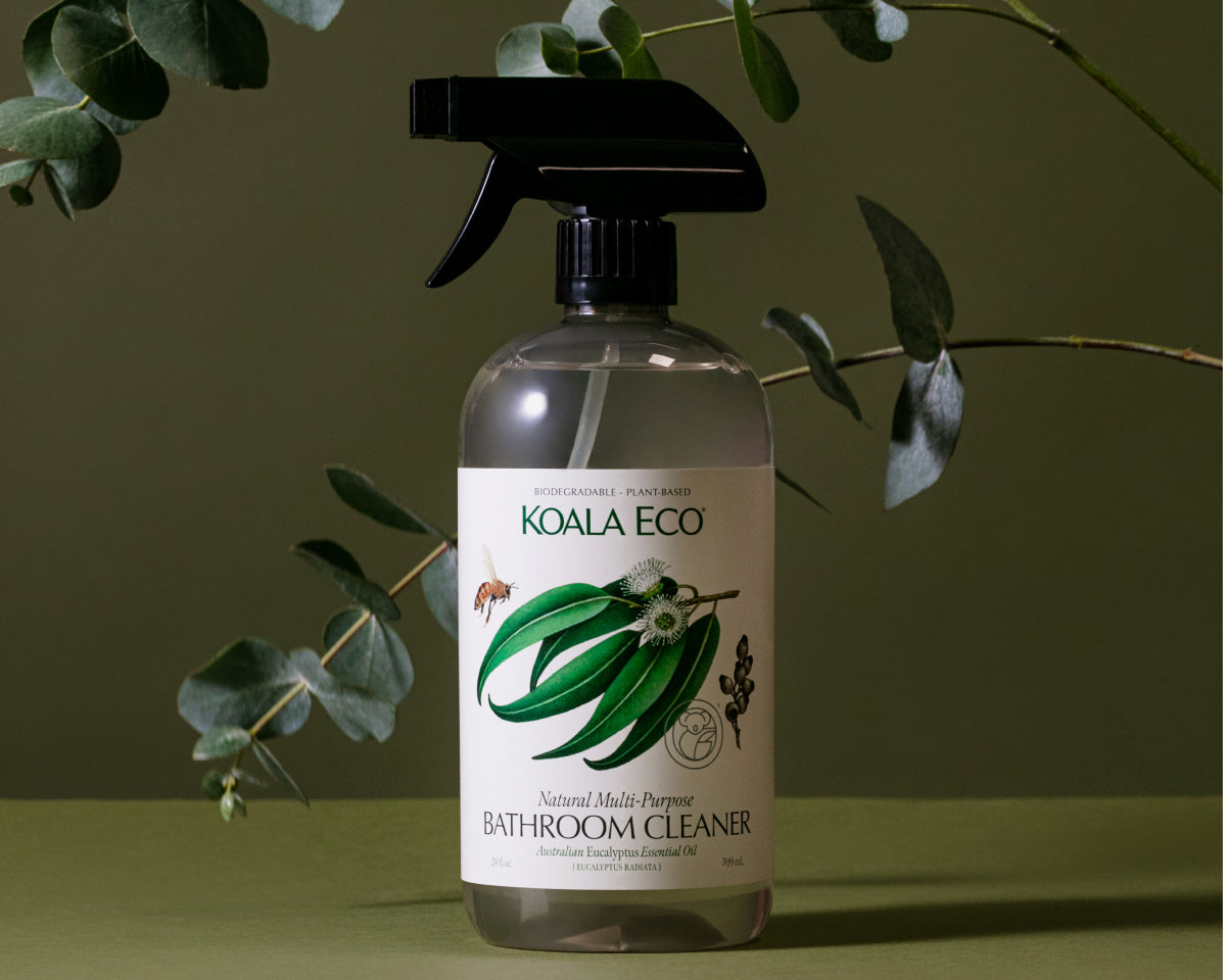 Promo image from Koala Eco
