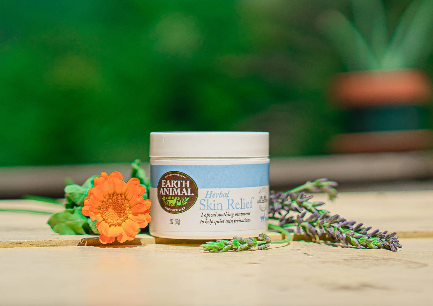 sustainable pet product earth animal jar of skin relief balm