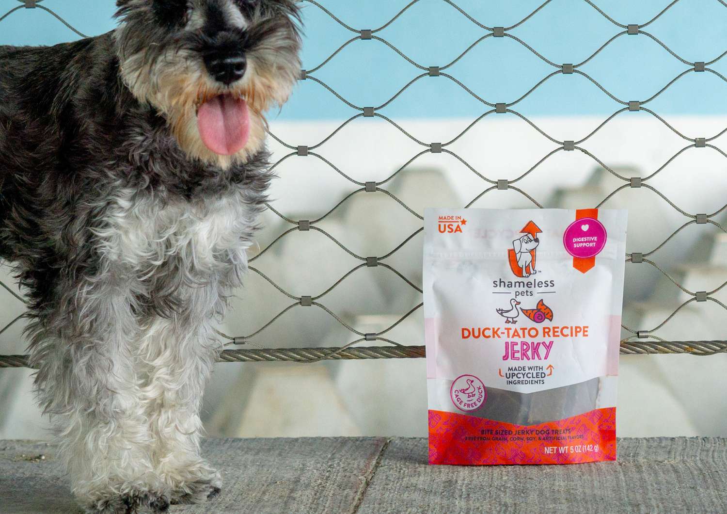 shameless pets sustainable pet products dog standing next to duck-tato jerky treats on sidewalk