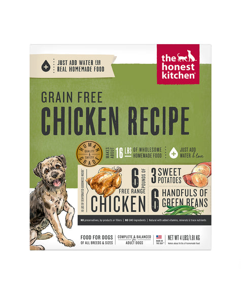 are of grain free dog foods safe