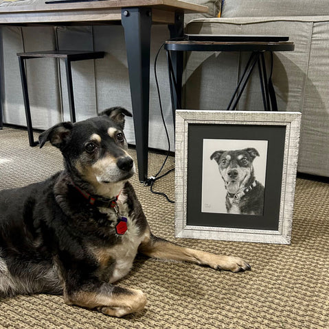 Bentley a cute dog is sitting net to the portrait I drew of him. Trae Mundt.