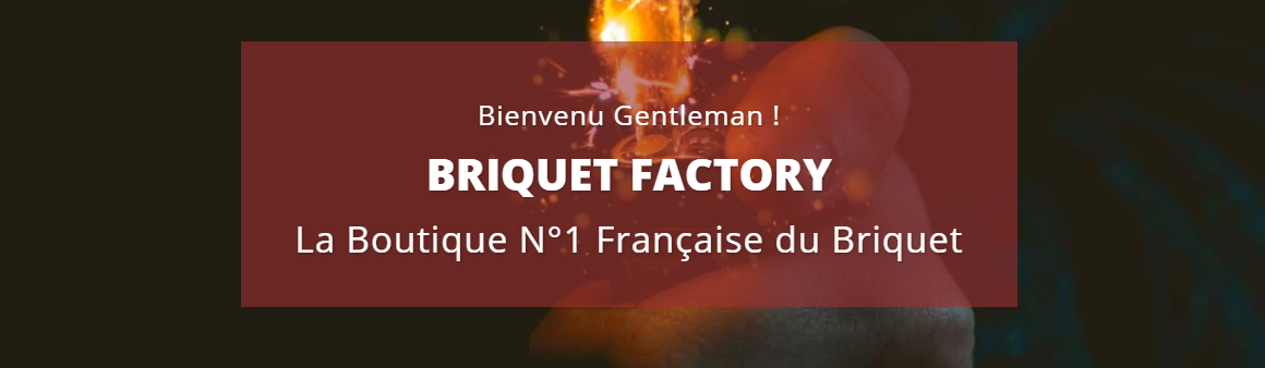 Briquet Factory