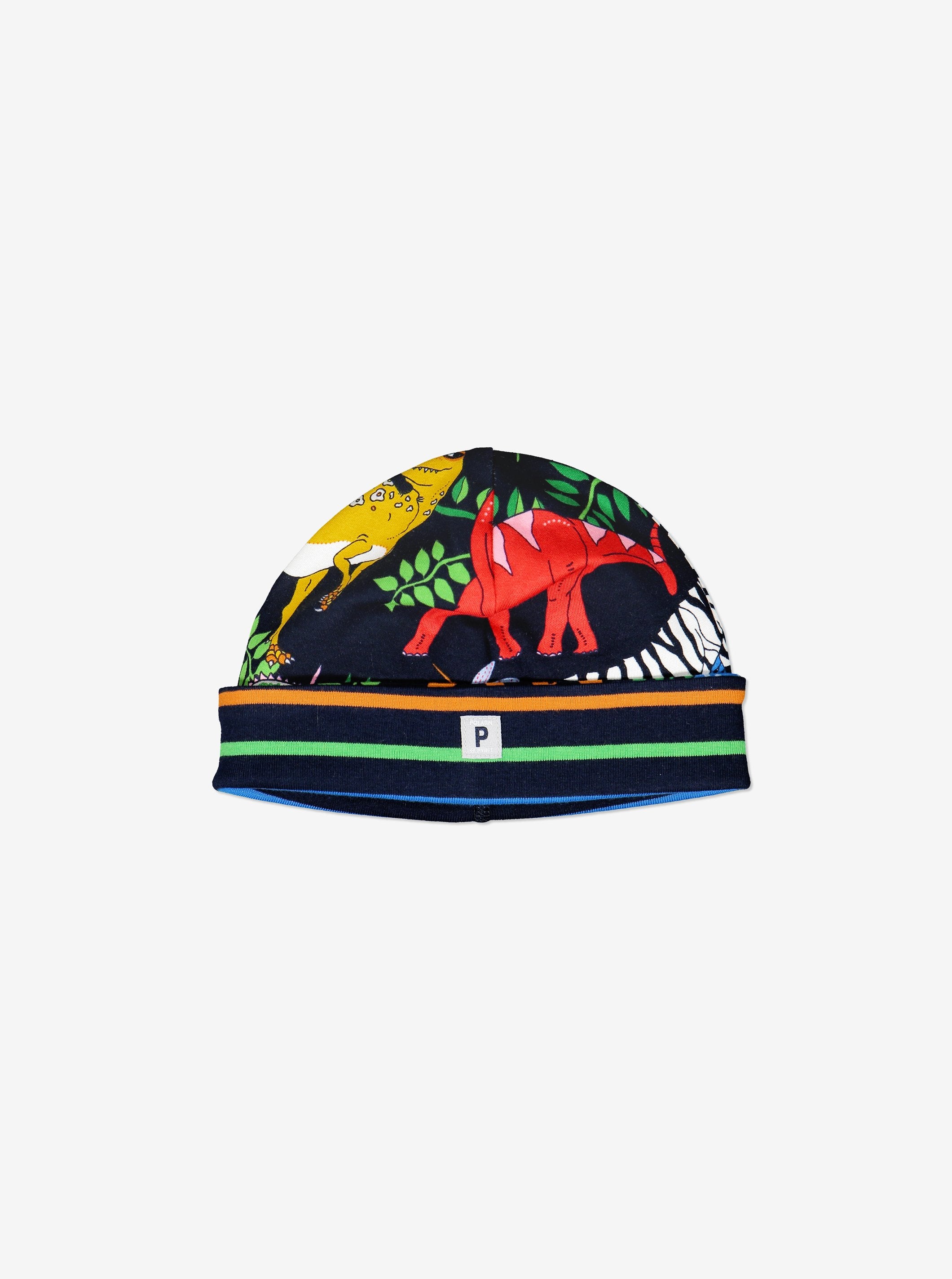 Dinosaur Baby Hat