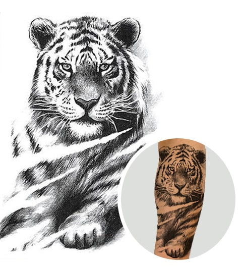 Tatouage Homme Femme Tigre Blanc La Boutique Du Tigre