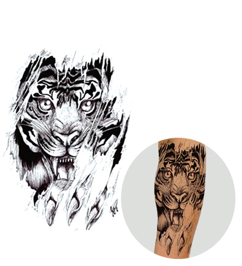 Tatouage Tigre Et Griffes La Boutique Du Tigre