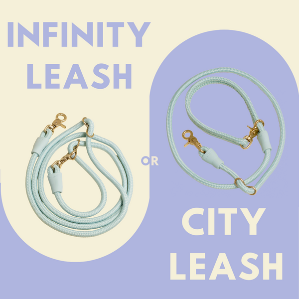 The Awoo Infinity Leash and City Leash sit side by side on a periwinkle background with the text 'Infinity Leash or City Leash'
