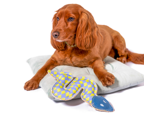 Dog lays on dog bed next to plush snake toy with checker print pattern.